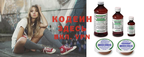 бошки Няндома