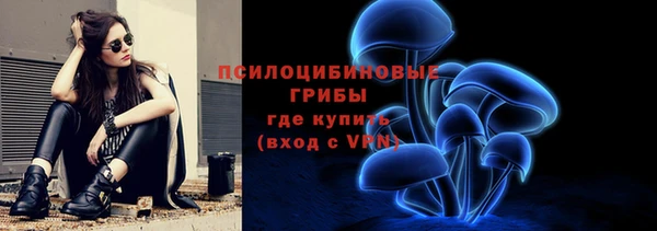 шишки Нязепетровск