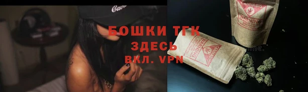 бошки Няндома