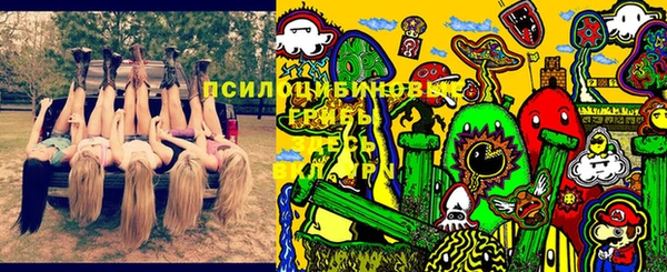 ALPHA-PVP Новодвинск