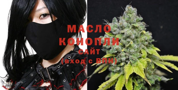бошки Няндома