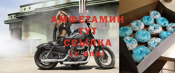 шишки Нязепетровск