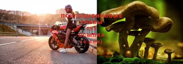 мяу мяу кристалл Осташков