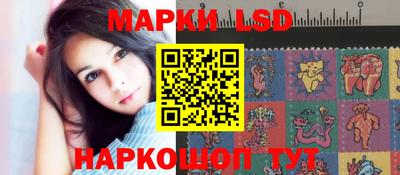 стаф Кингисепп