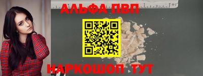 стаф Кингисепп