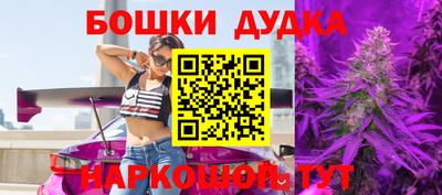 стаф Кингисепп