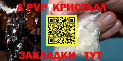 стаф Кингисепп