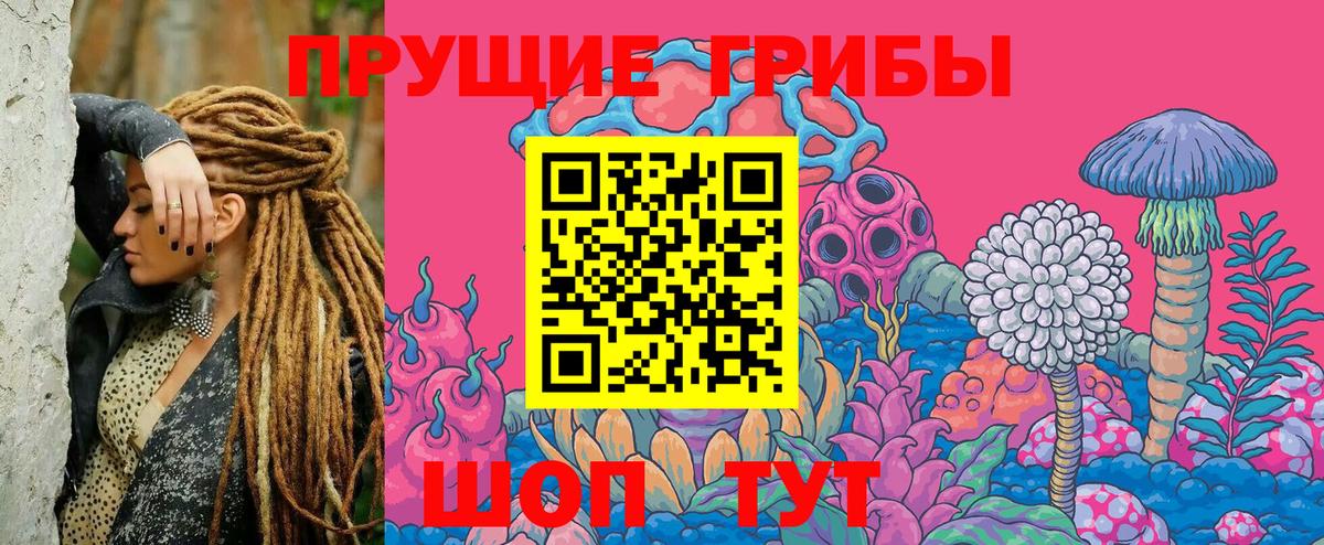 Псилоцибиновые грибы прущие грибы  Псилоцибиновые грибы мицелий  Северодвинск  Вход с VPN 